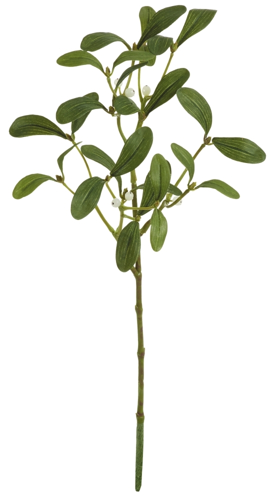 Mistelzweig 3-fach 50cm Farbe: grün