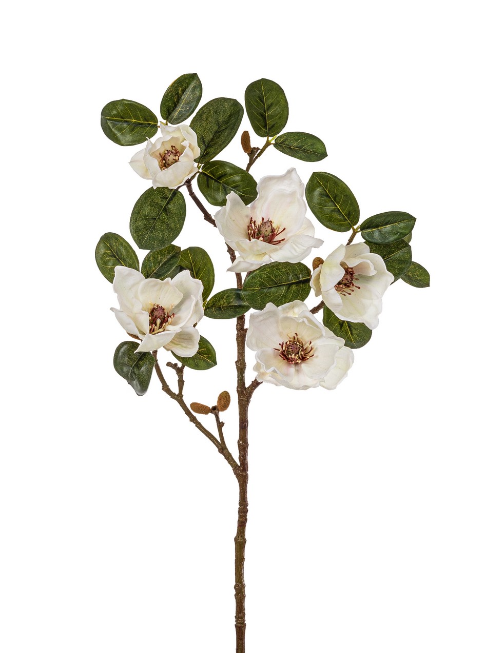 Magnolienast x 5 71cm Blütenkopf Ø ca. 6,5/10cm Farbe: elfenbein