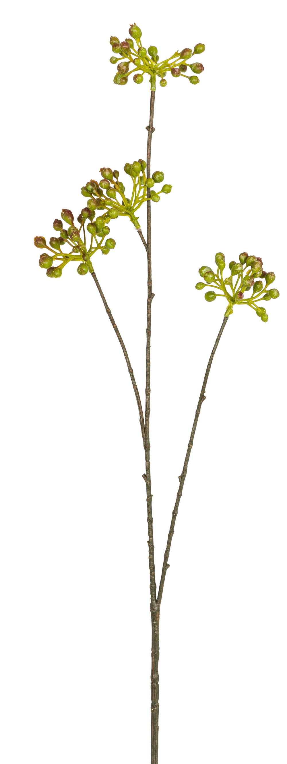 Beerendoldenzweig x 4 91cm Farbe: grün