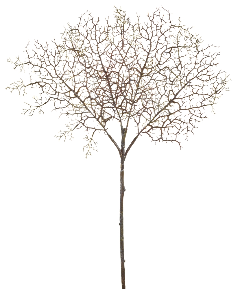 Korallenzweig 4-fach 79cm Farbe: braun