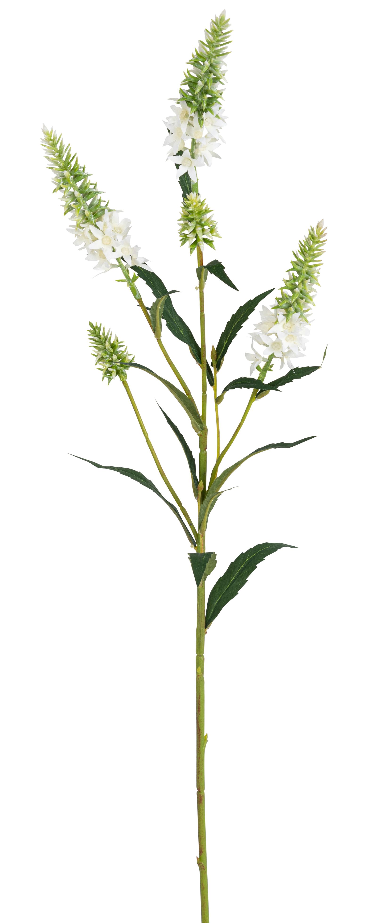 Astilbenzweig x 5 76cm Farbe: weiß