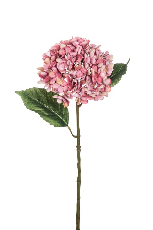 Hortensie 55cm Blütenkopf Ø ca. 15cm Farbe: altrosé