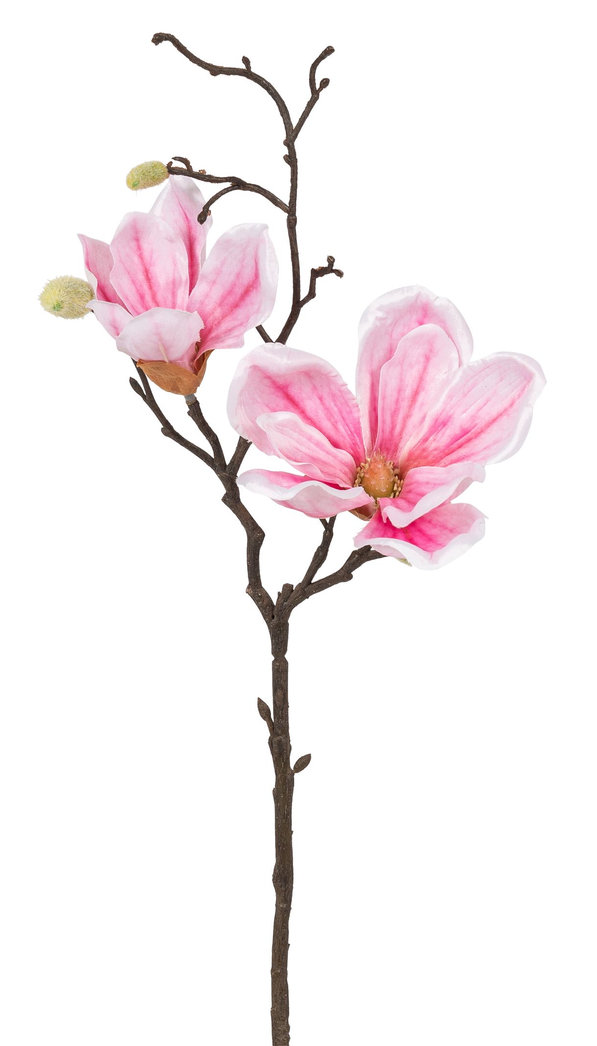 Magnolienzweig x 2 48cm Blütenkopf Ø ca. 8/13cm Farbe: rosé-gemischt