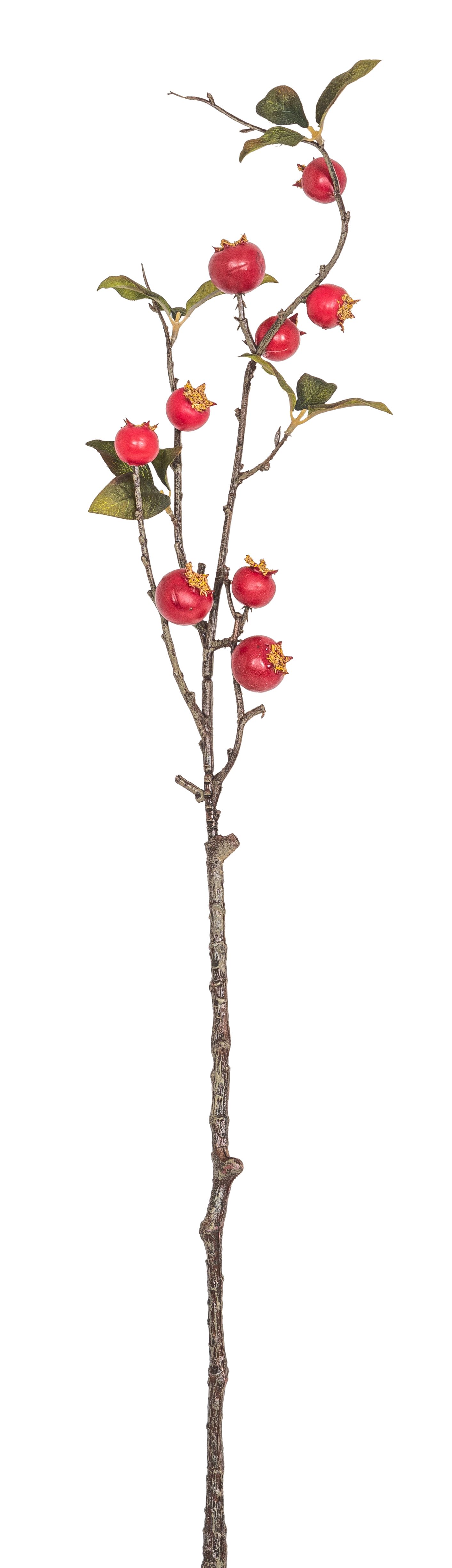 Hagebuttenzweig x 9 69cm Farbe: rot