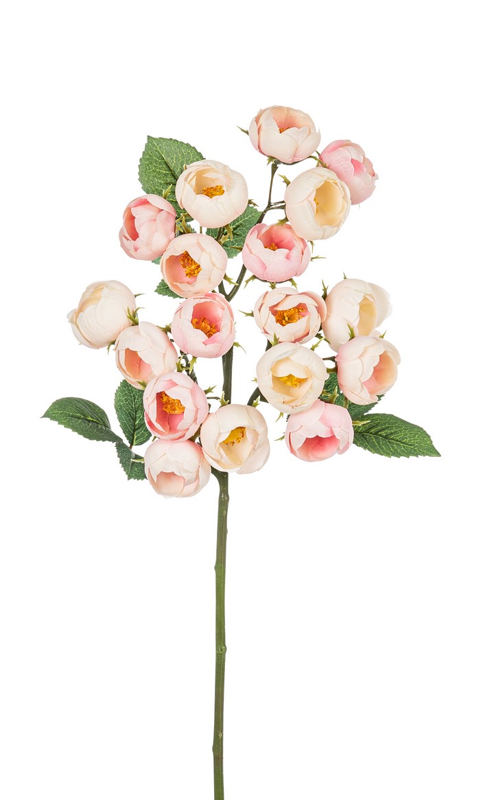Kugelrosenzweig x 18 46cm Blütenkopf Ø ca. 3cm Farbe: rosé-weiß