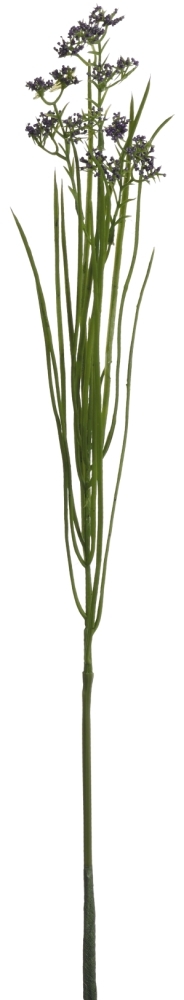 Dill 3-fach 48cm Farbe: dunkellila