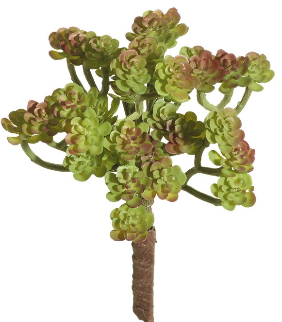 Hauswurz x 34 22cm Pick Ø ca. 13cm Farbe: grün-braun
