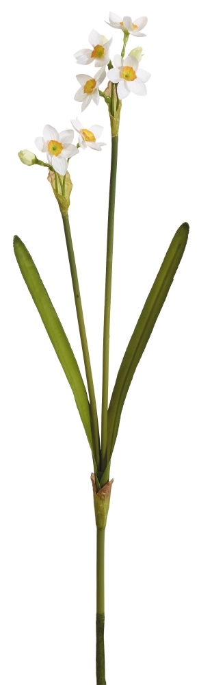 Narzisse 2-fach 56cm Blütenkopf Ø ca. 3cm Farbe: weiß-gelb