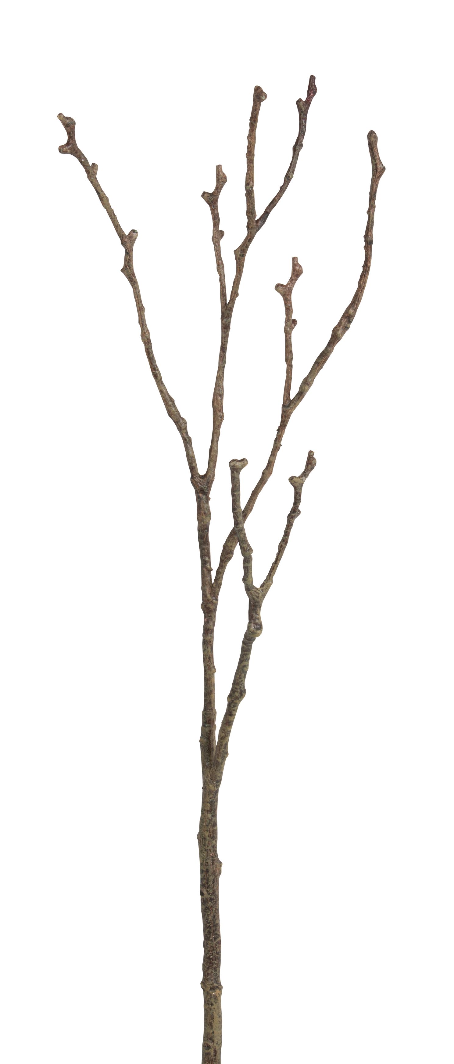 Erlenast 4-fach 95cm Farbe: braun