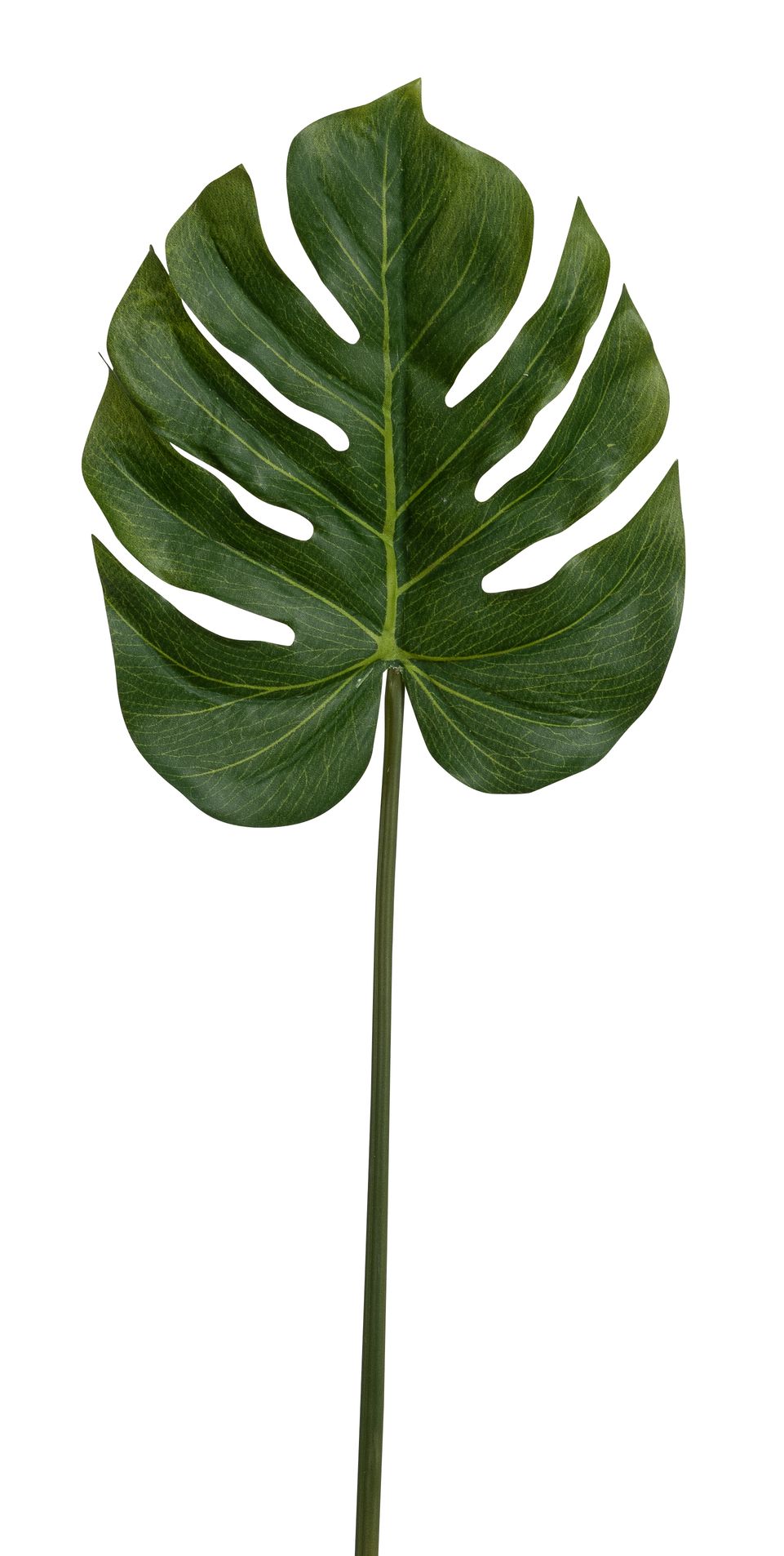 Philodendronblatt 26cm Ø ca. 26cm Farbe: grün