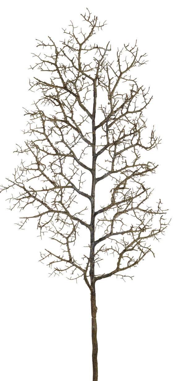 Korallenzweig 107cm Farbe: braun