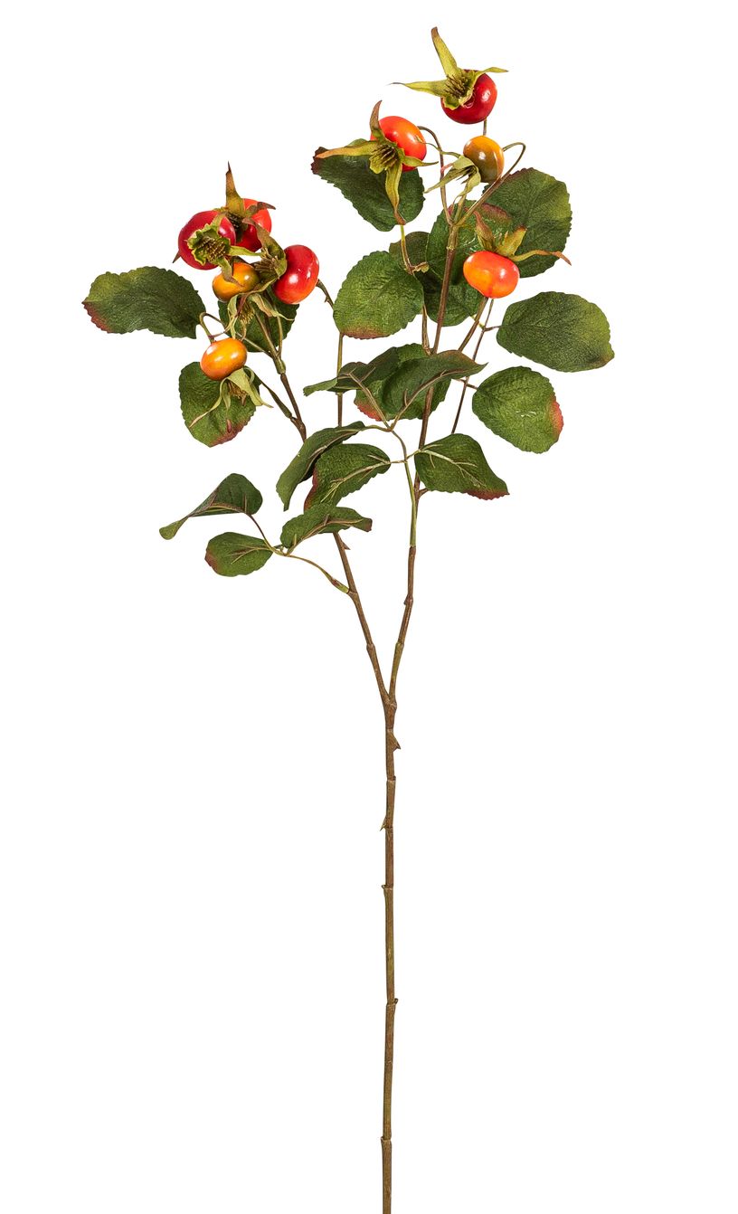 Hagebuttenzweig x 9 58cm Farbe: orange-rot
