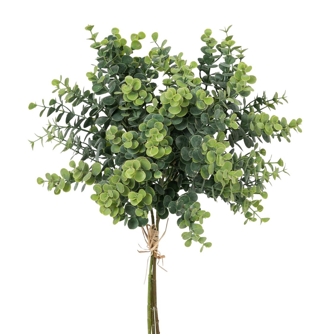 Eukalyptusbund x 3 40cm Farbe: grün