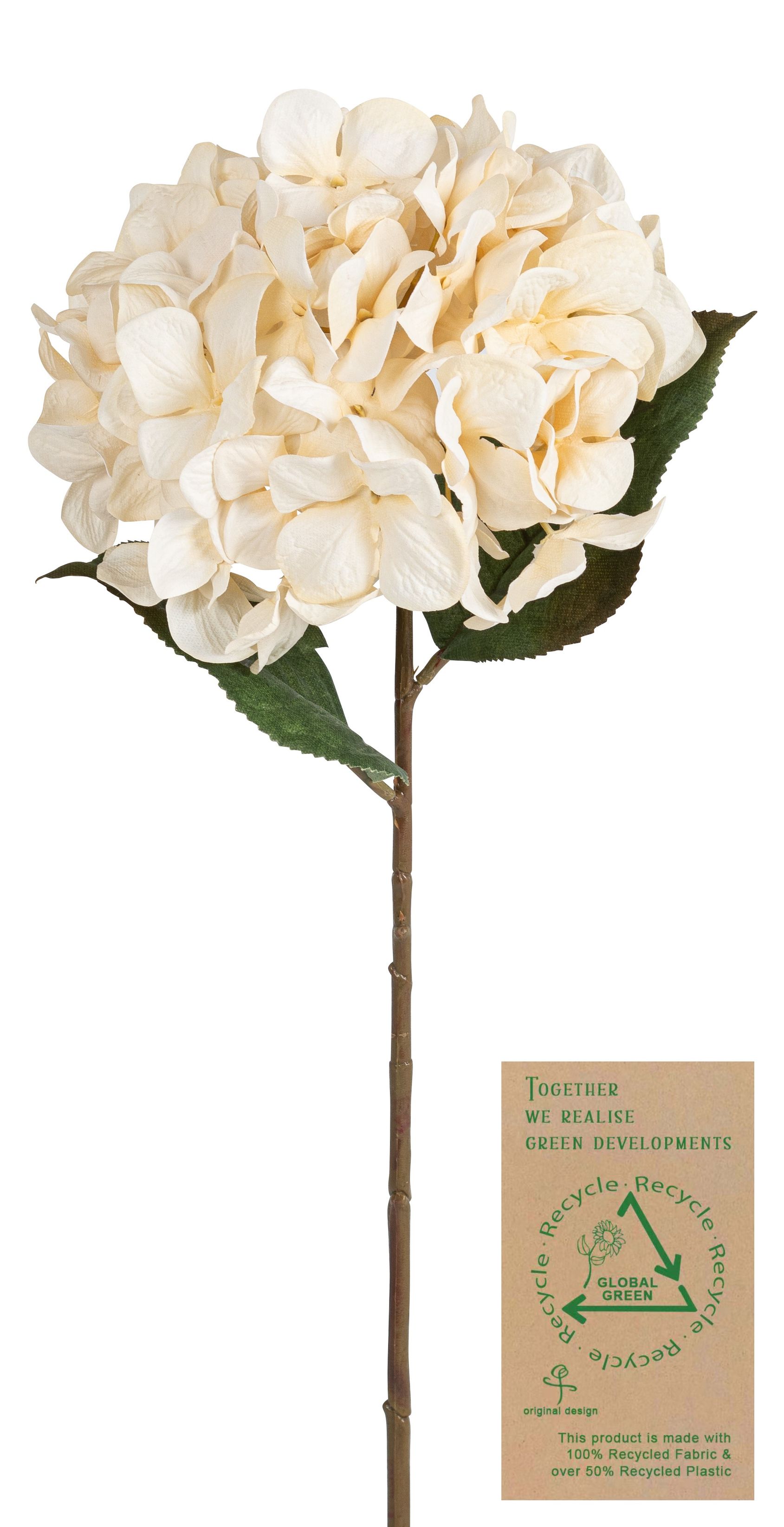 Hortensie RE 68cm Blütenkopf Ø ca. 20cm Farbe: elfenbein