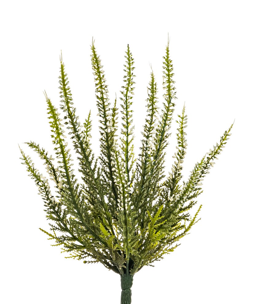 Erikabusch x 15 27cm Farbe: weiß