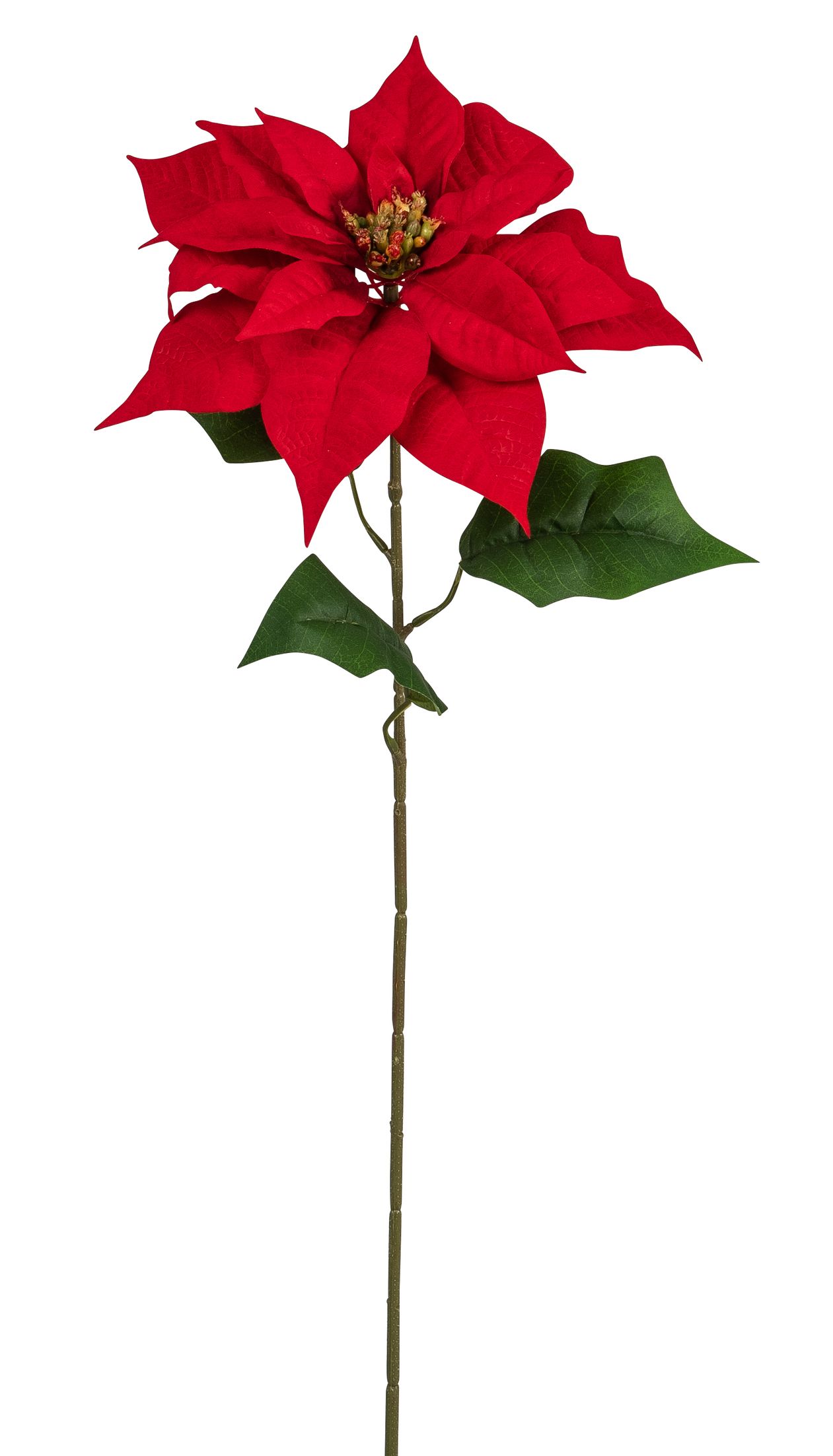 Poinsettia mit Blätter 77cm Blütenkopf Ø ca. 25cm Farbe: rot