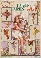 Poster-Flower-Fairies I Farbe: grau