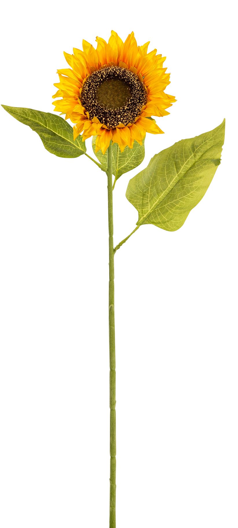 Sonnenblume 75cm Blütenkopf Ø ca. 15cm Farbe: gelb