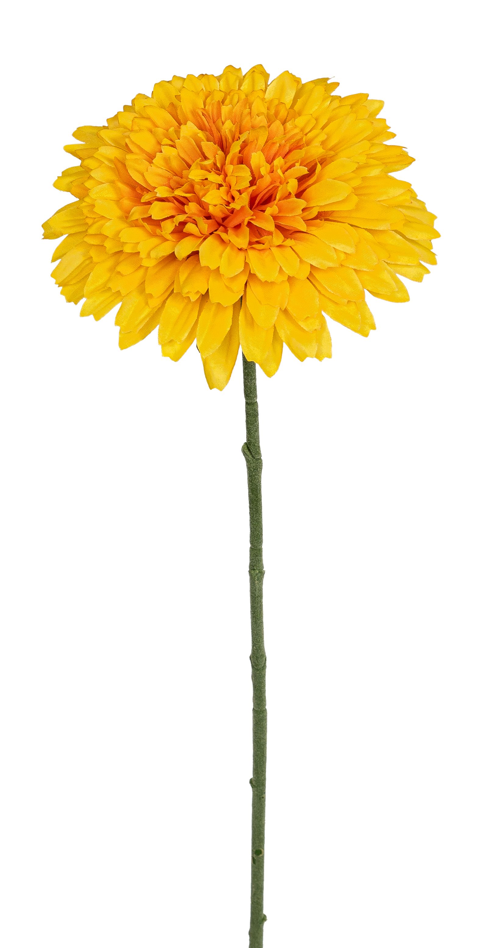 Chrysantheme 63cm Blütenkopf Ø ca. 13cm Farbe: gelb