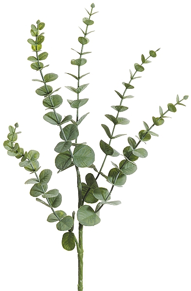 Eukalyptuszweig 5-fach 74cm Farbe: grün