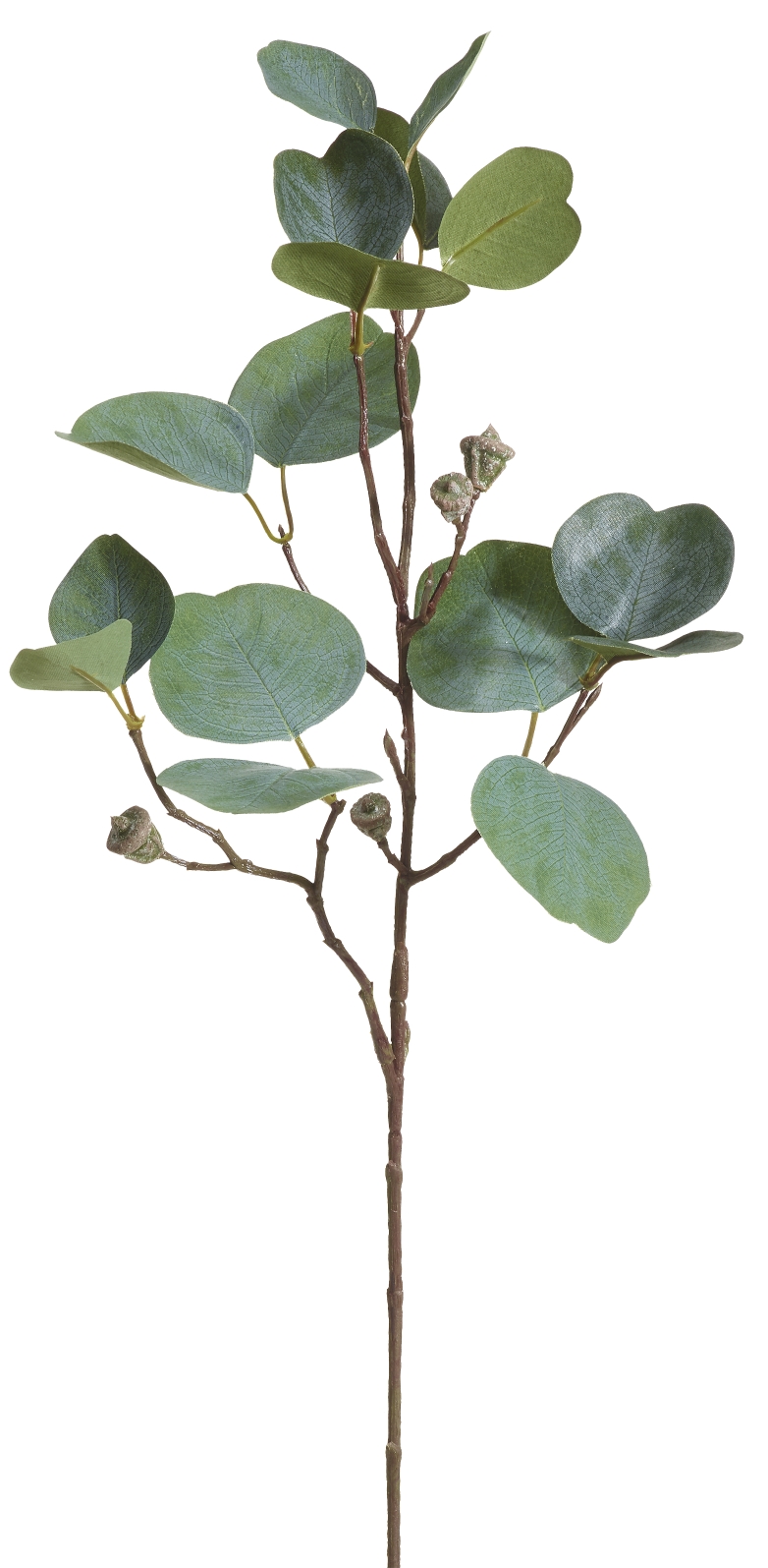 Eukalyptuszweig 5-fach 60cm Farbe: grün