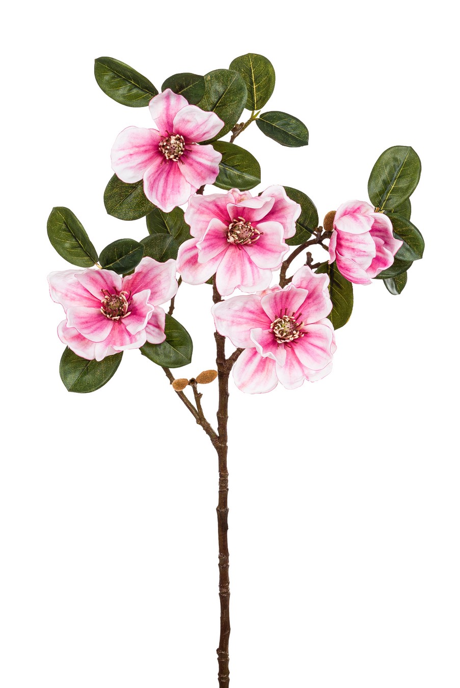 Magnolienast x 5 71cm Blütenkopf Ø ca. 6,5/10cm Farbe: rosé
