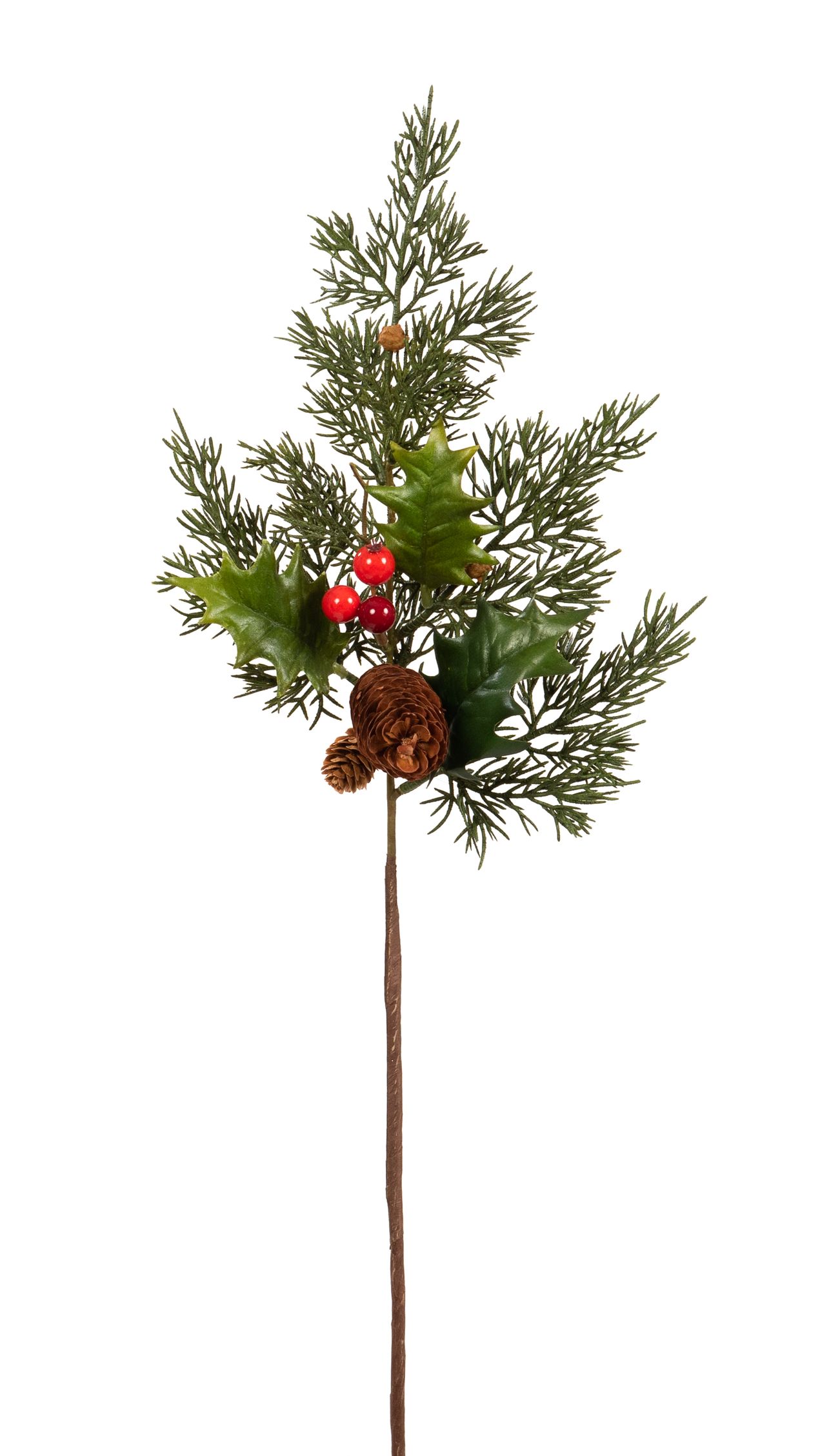 Zedern-Ilex-Zapfenzweig 54cm Farbe: grün-rot