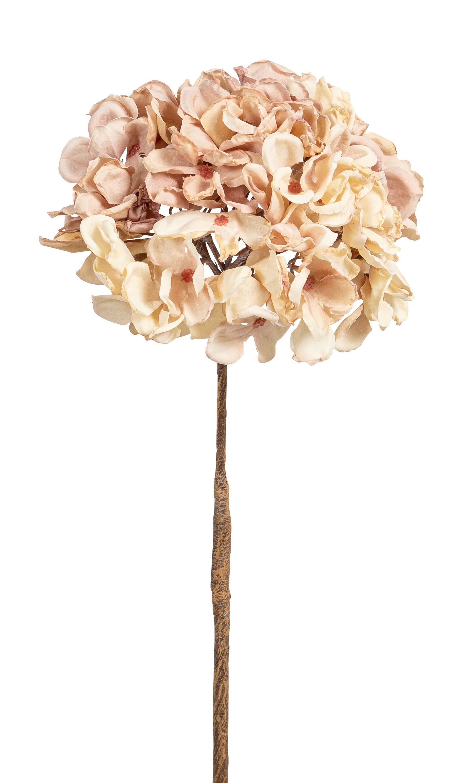 Hortensie 57cm Blütenkopf Ø ca. 18cm Farbe: creme