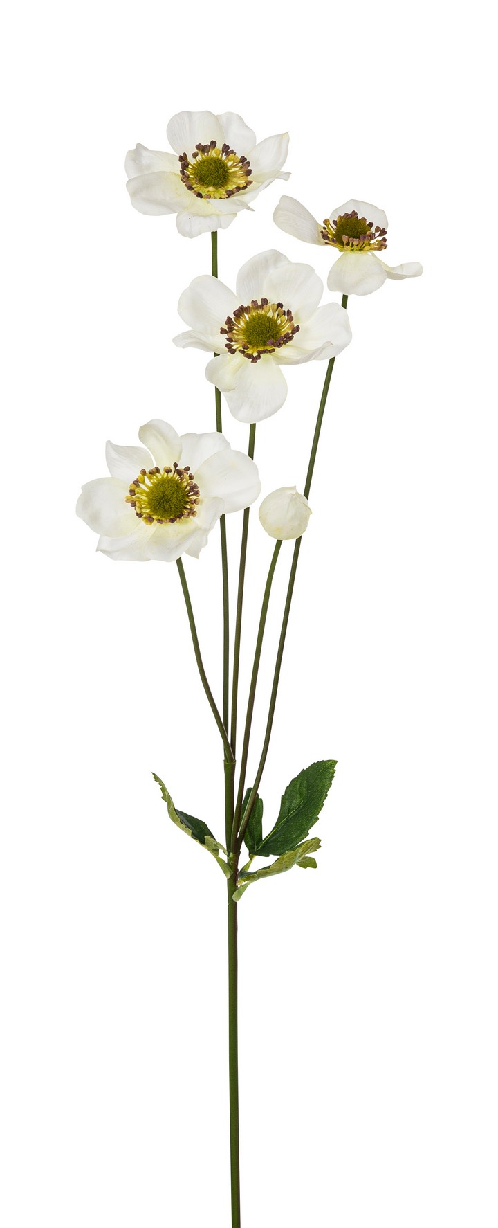 Anemonenzweig x 5 73cm Blütenkopf Ø ca. 8cm Farbe: weiß