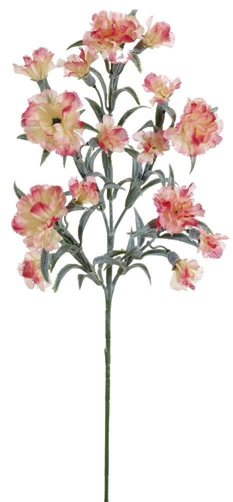 Nelkenzweig x 15 72cm Blütenkopf Ø ca. 3/4cm Farbe: rosé-gemischt