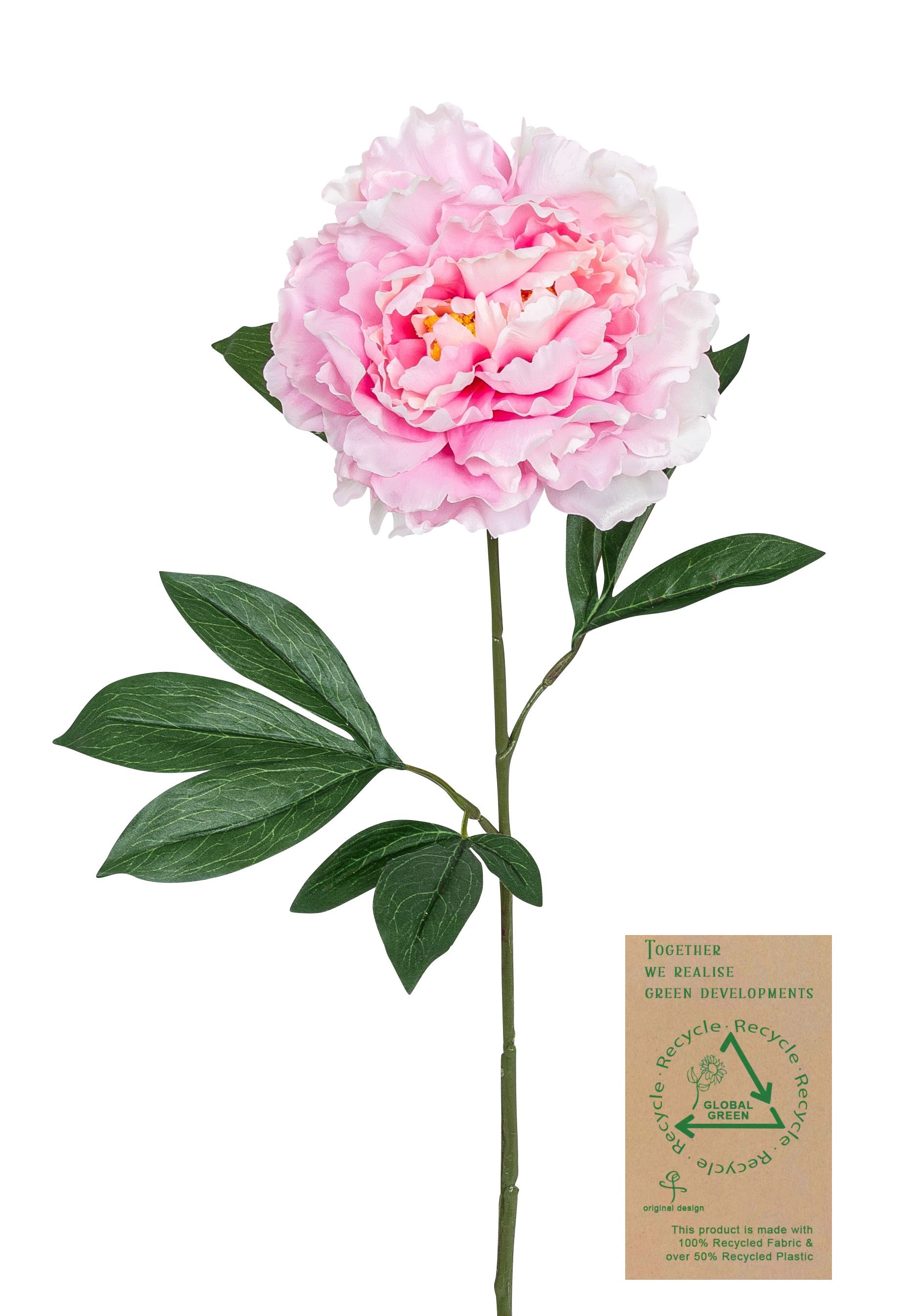 Päonie RE 80cm Blütenkopf Ø ca. 15cm Farbe: rosé
