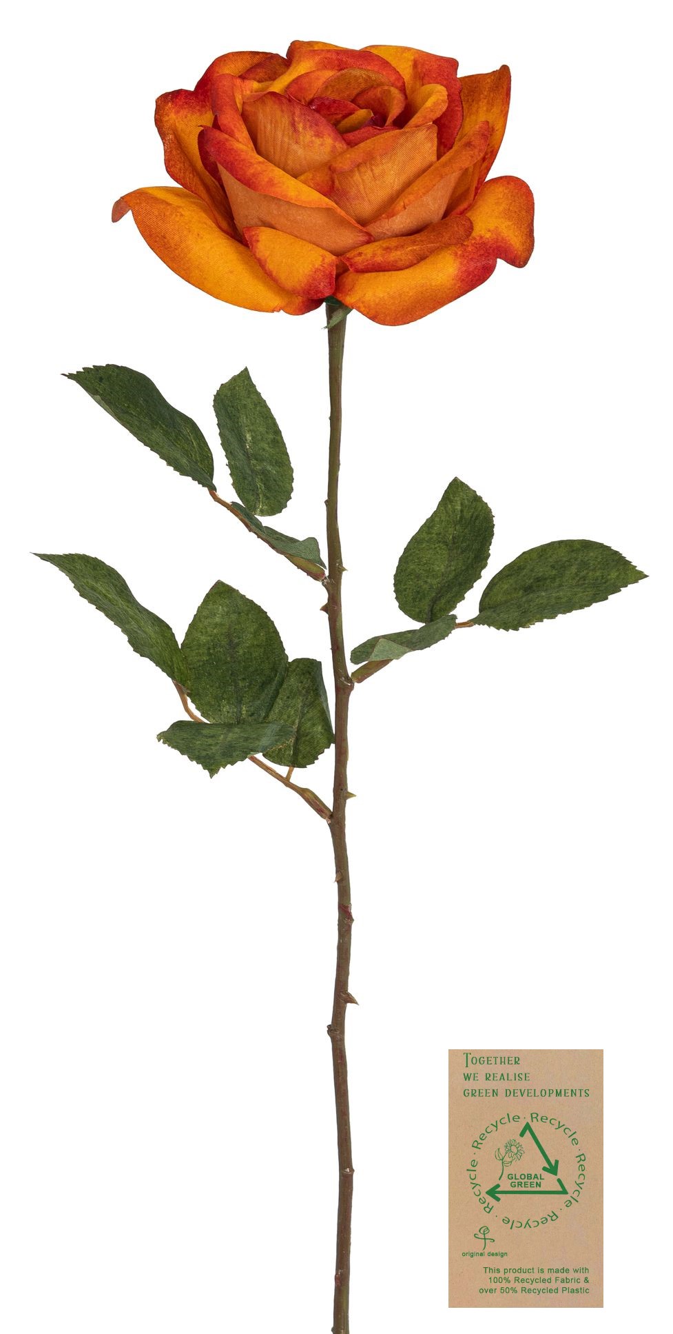 Prachtrose RE 63cm Blütenkopf Ø ca. 15cm Farbe: orange-gelb