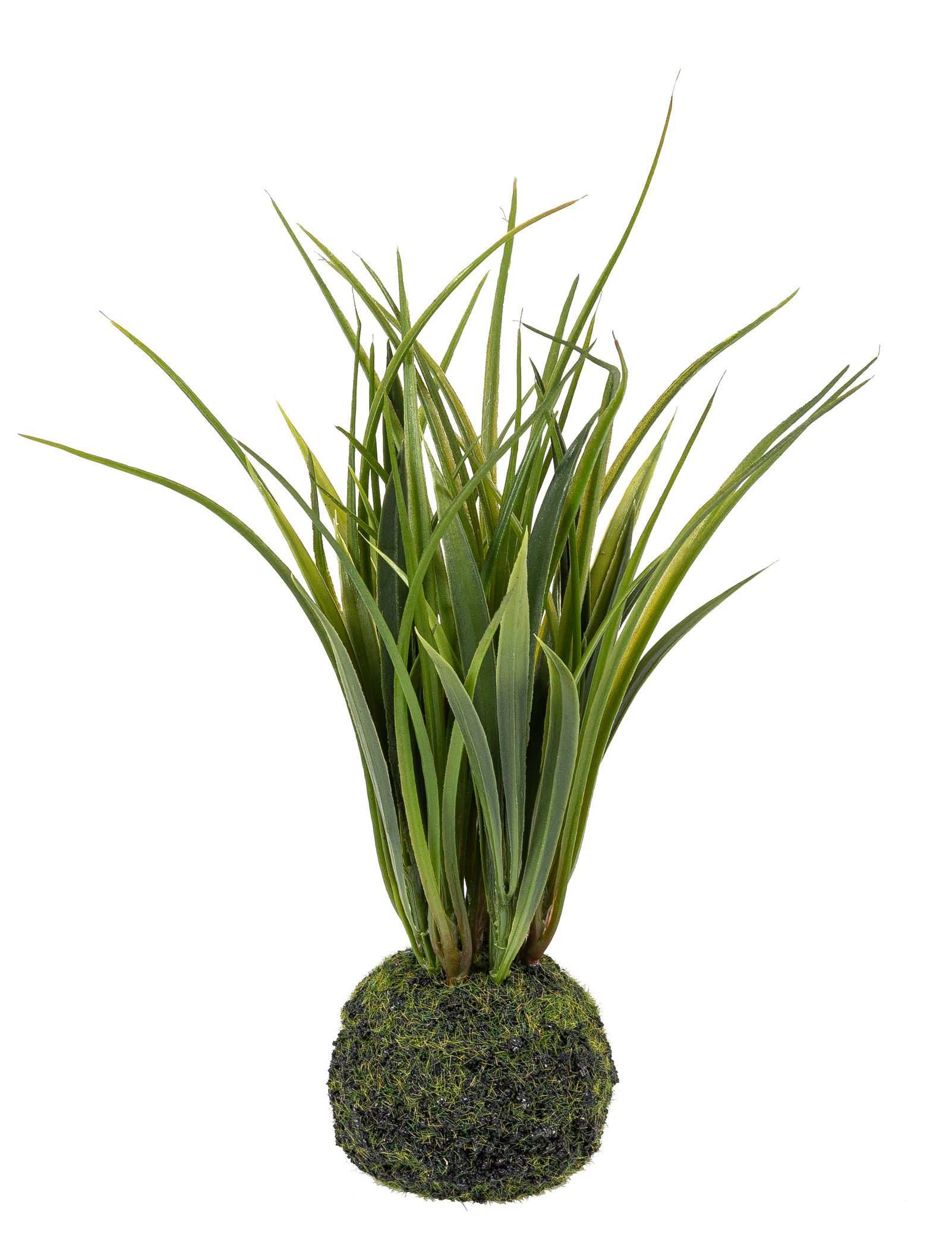 Grasbüschel auf Moosballen 25cm Farbe: grün