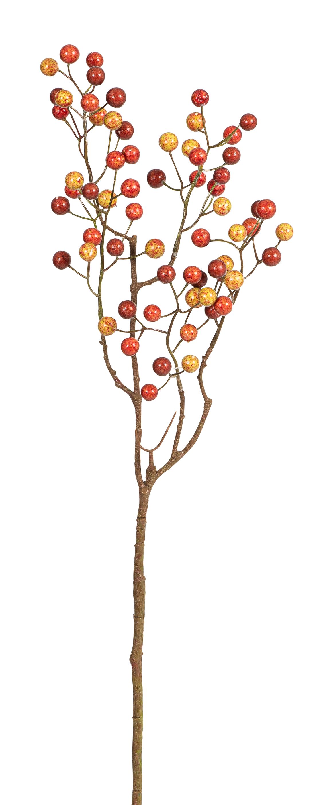 Beerenast 5-fach 66cm Farbe: orange-grün