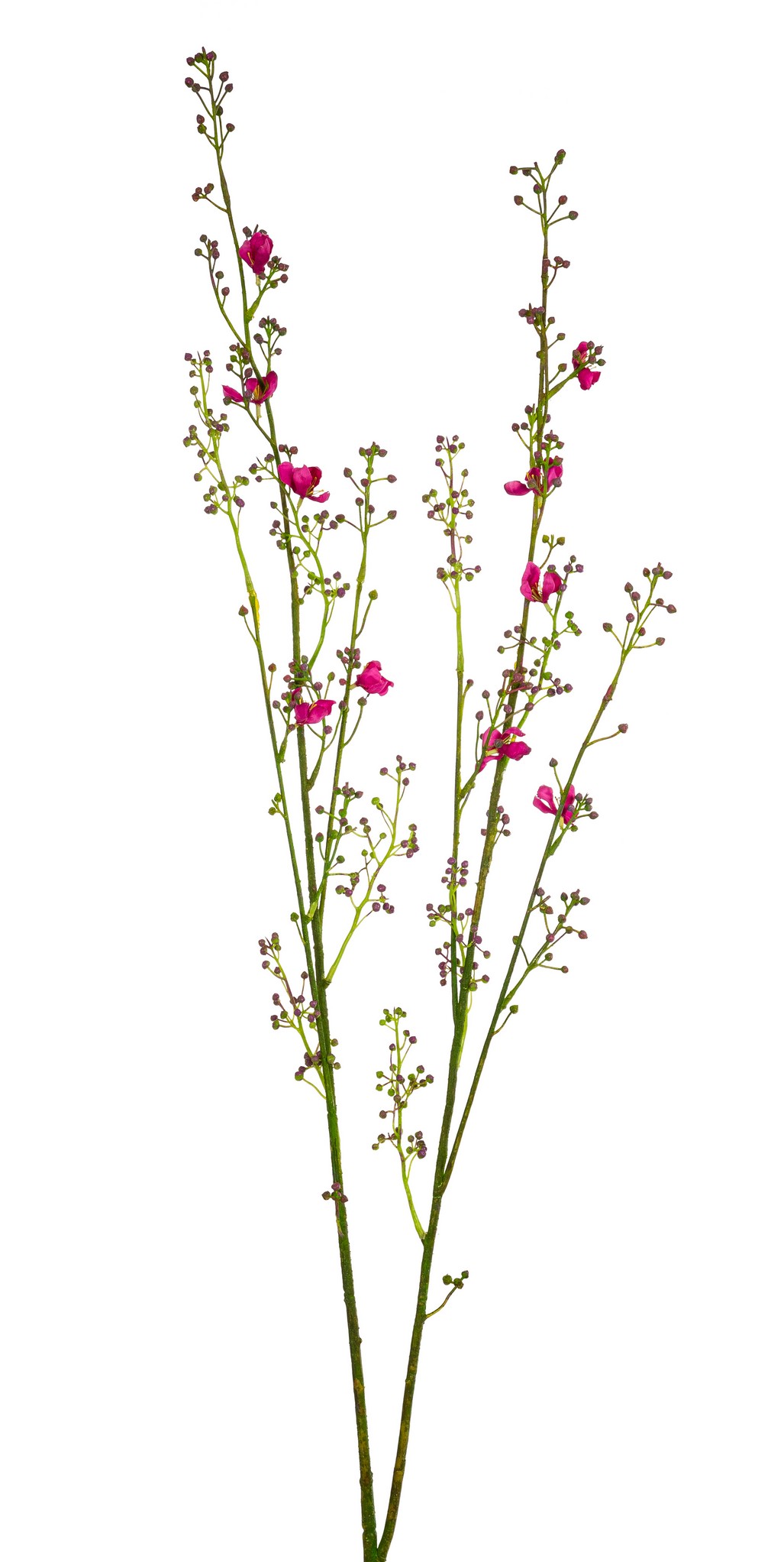 Eibischknospenzweig 6-fach 95cm Farbe: lila