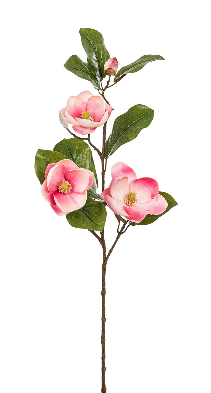 Magnolienzweig x 3 74cm Blütenkopf Ø ca. 8cm Farbe: rosé