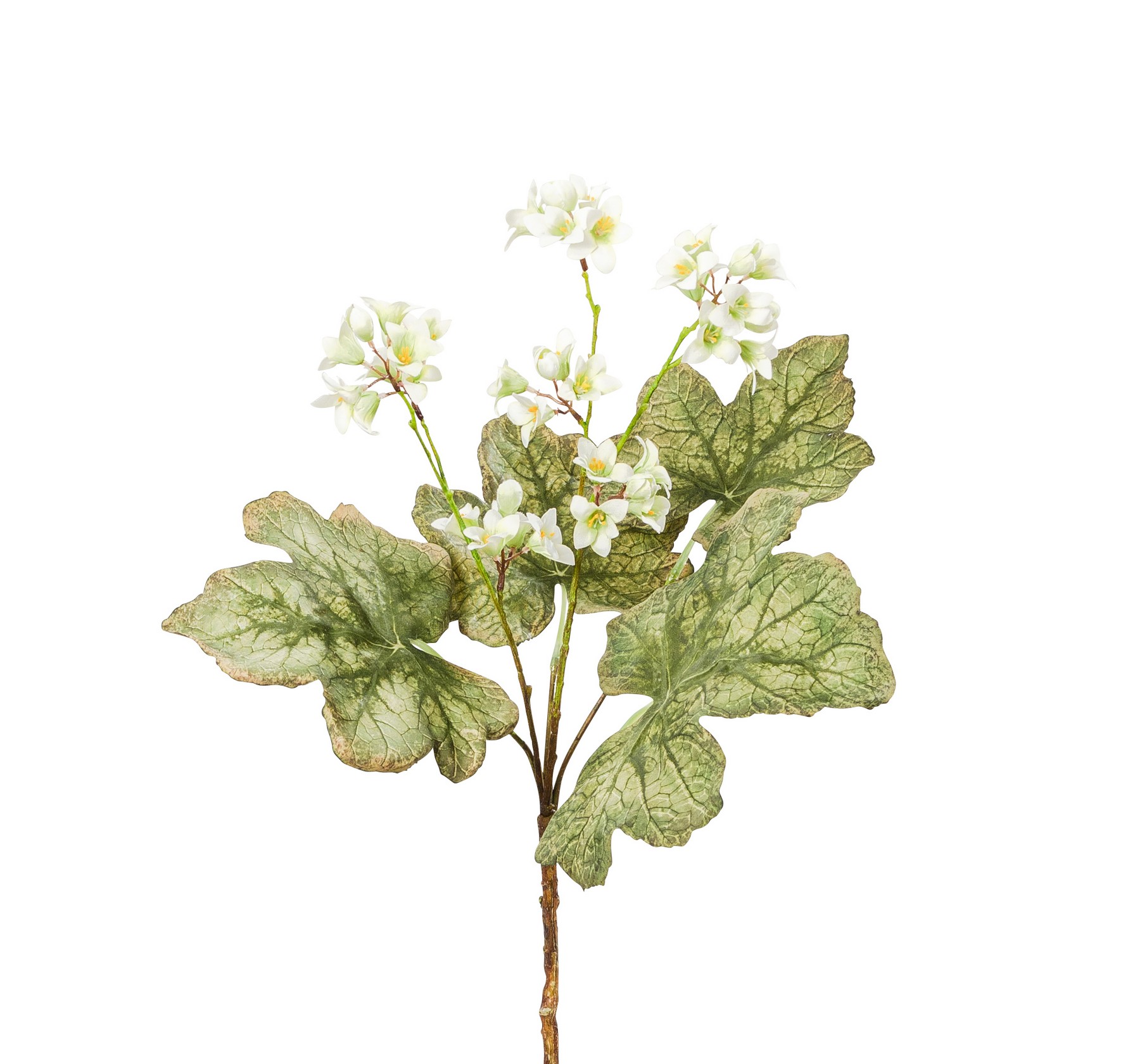 Purpurglöckchen x 2 43cm Farbe: weiß-grün