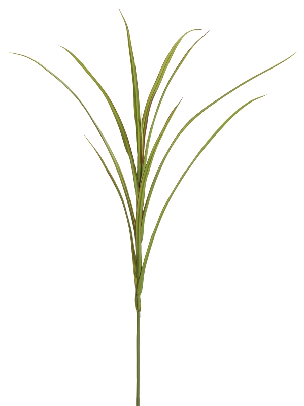 Schilfgraszweig x 10 85cm Farbe: grün-braun