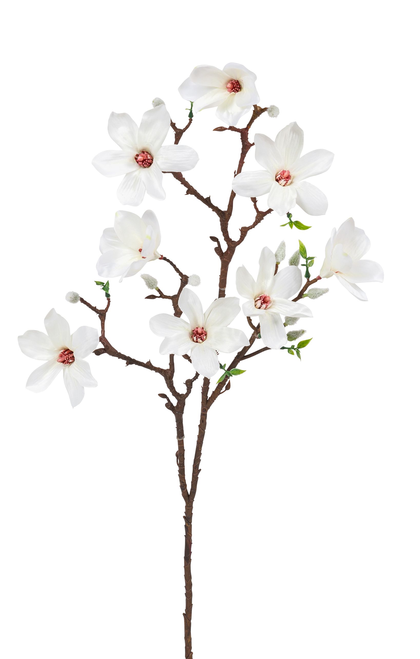 Magnolienzweig x 8 89cm Blütenkopf Ø ca. 9cm Farbe: weiß