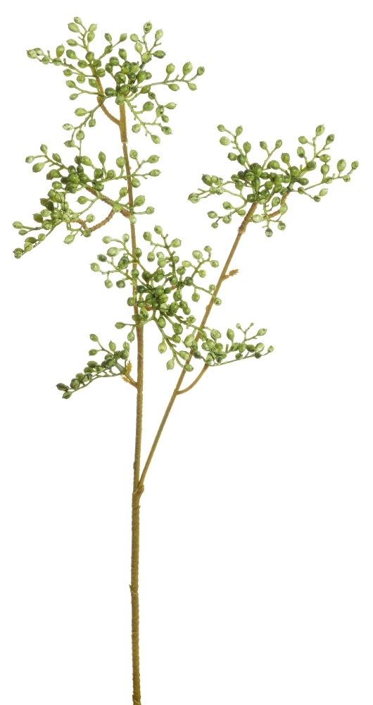 Holunderzweig x 10 63cm Farbe: grün