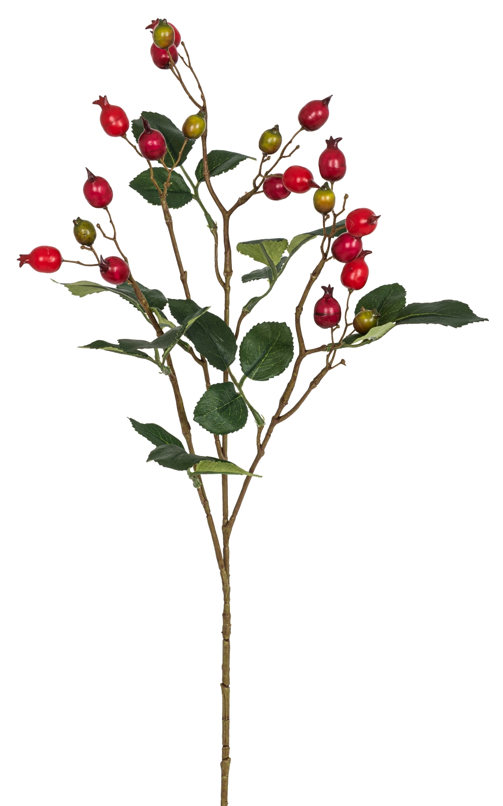 Hagebuttenzweig x 21 70cm Farbe: rot-grün