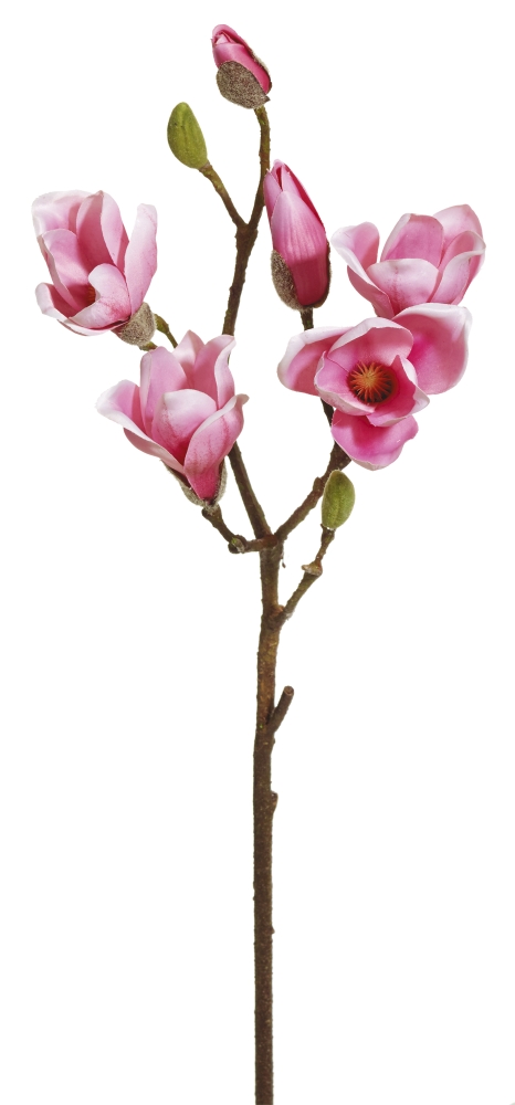 Magnolienzweig x 8 68cm Blütenkopf Ø ca. 7cm Farbe: rosé-gemischt