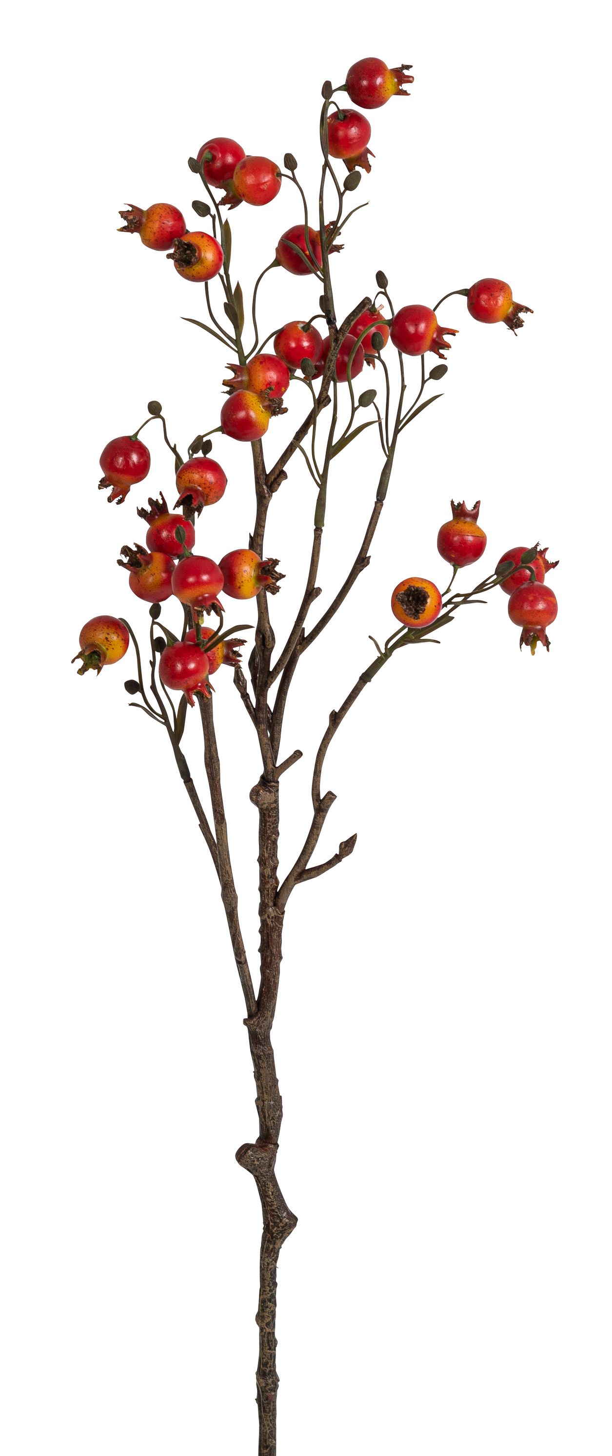Hagebuttenzweig x 27 61cm Farbe: orange-rot