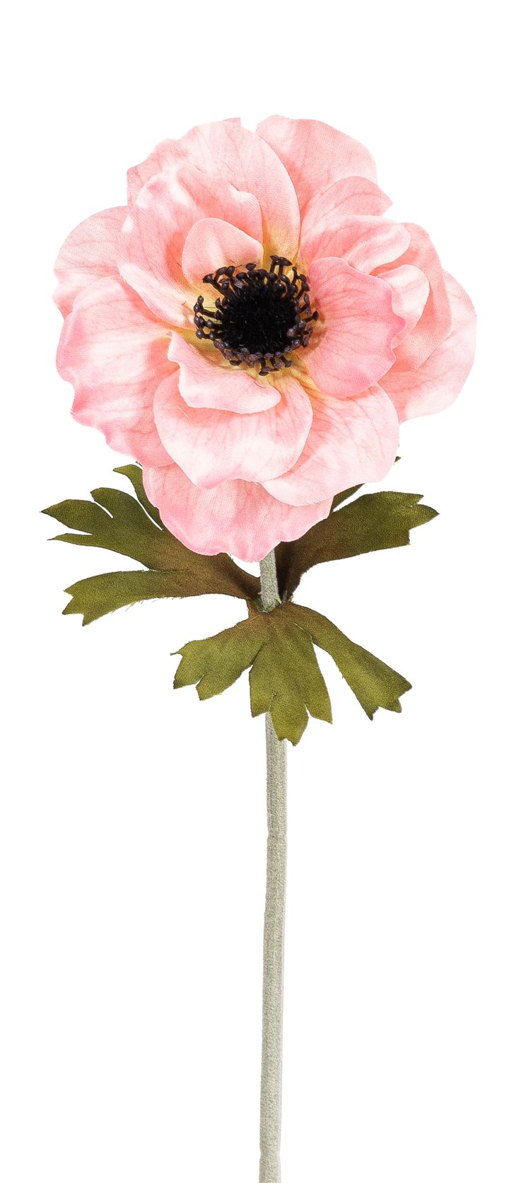 Anemone 35cm Blütenkopf Ø ca. 10cm Farbe: rosé