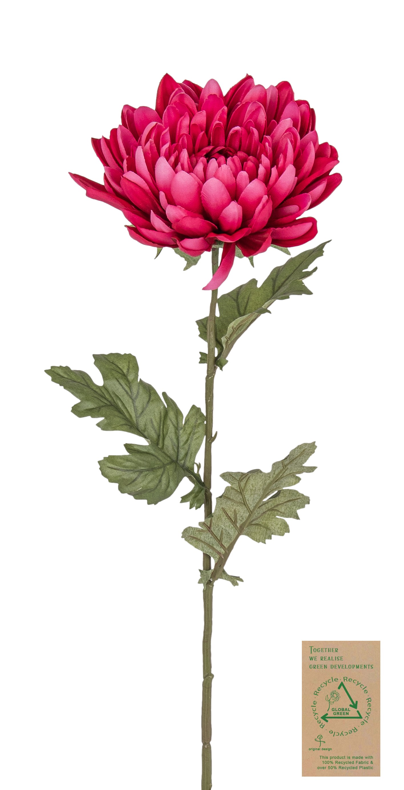 Chrysantheme RE 68cm Blütenkopf Ø ca. 15cm Farbe: cerise