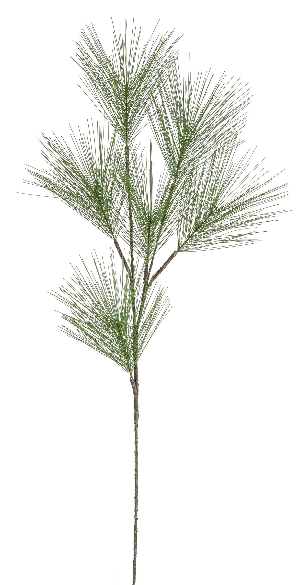 Seidenkiefernzweig x 6 96cm Farbe: grün