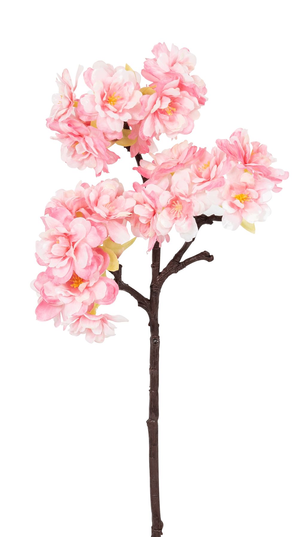 Kirschblütenzweig 40cm Farbe: rosé