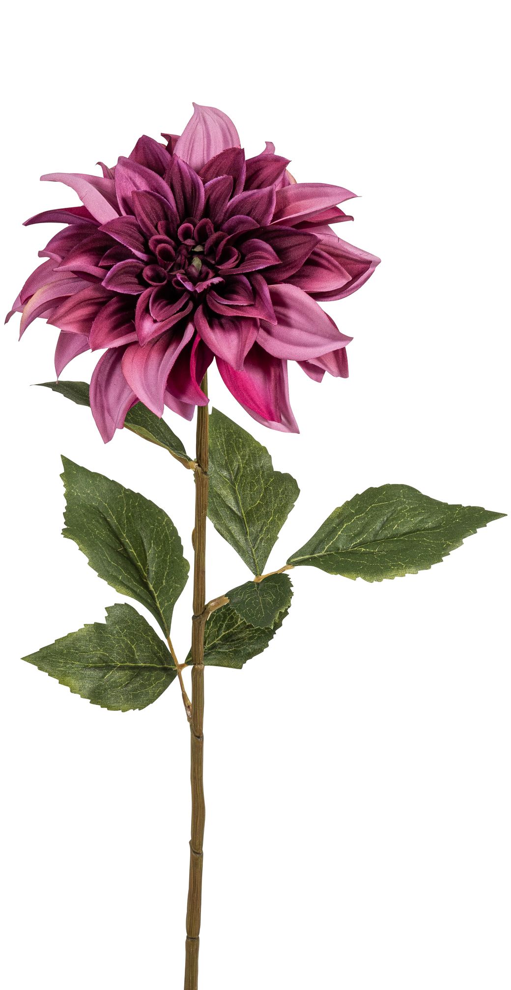 Dahlie 65cm Blütenkopf Ø ca. 16cm Farbe: lila