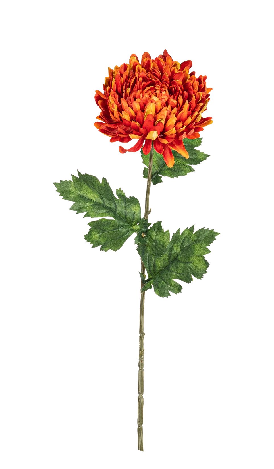 Chrysantheme 75cm Blütenkopf Ø ca. 14cm Farbe: orange