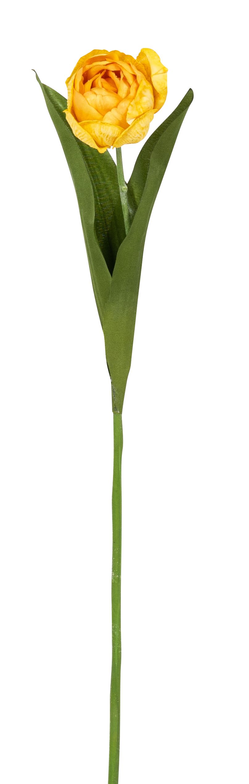 Tulpe 48cm Blütenkopf Ø ca. 5cm Farbe: gelb